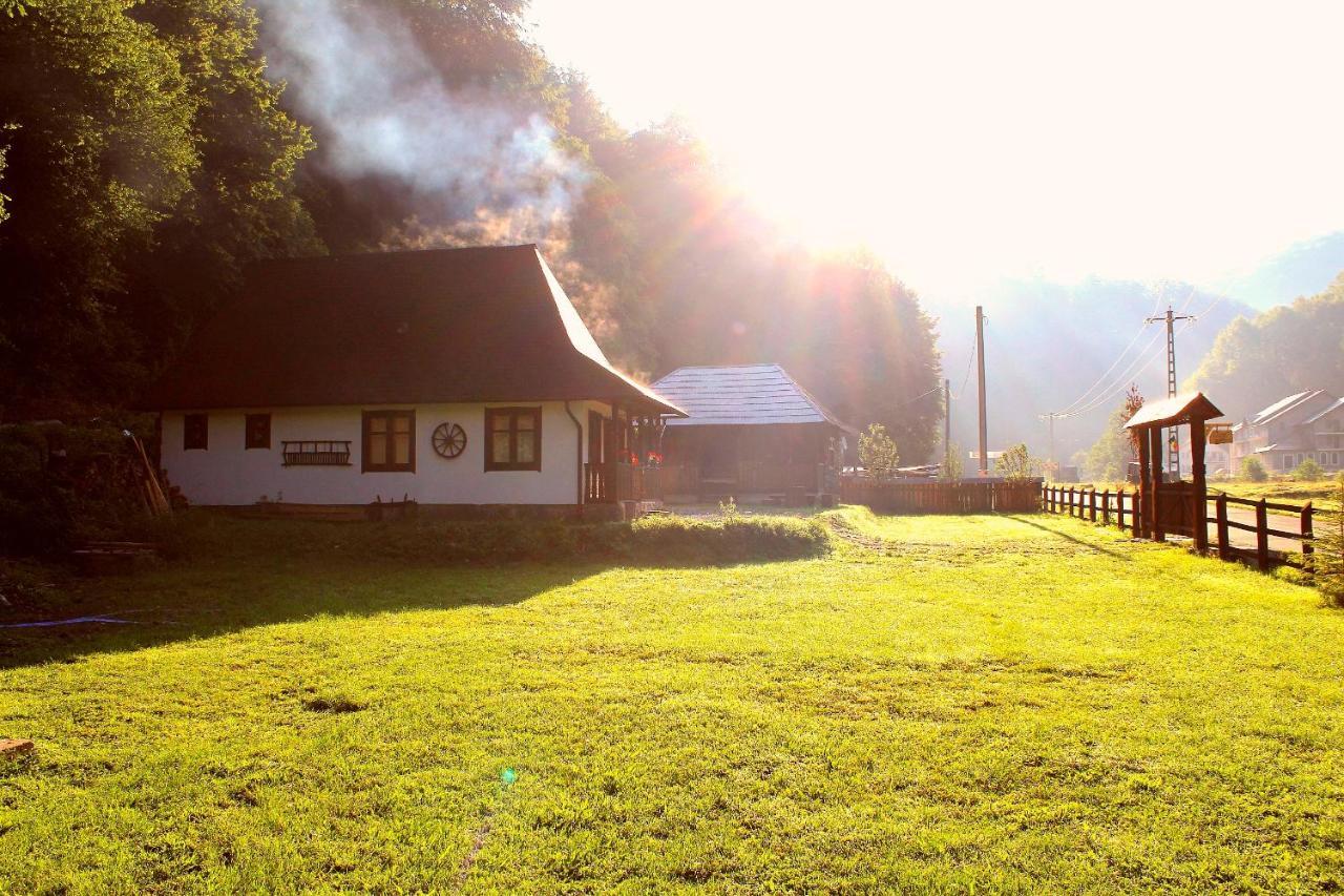 Casuta Din Valea Regilor Villa Gradistea de Munte Luaran gambar