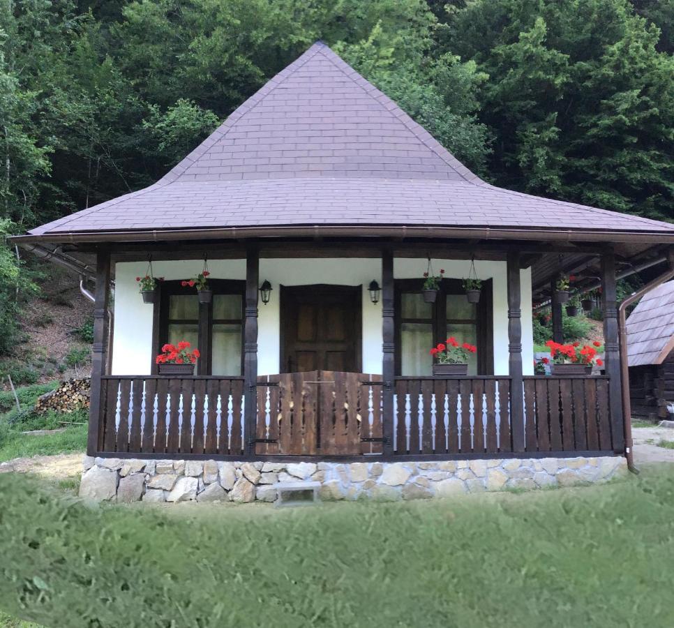 Casuta Din Valea Regilor Villa Gradistea de Munte Luaran gambar