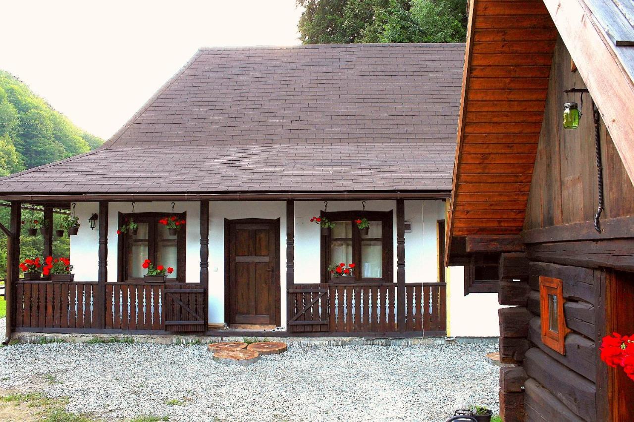 Casuta Din Valea Regilor Villa Gradistea de Munte Luaran gambar