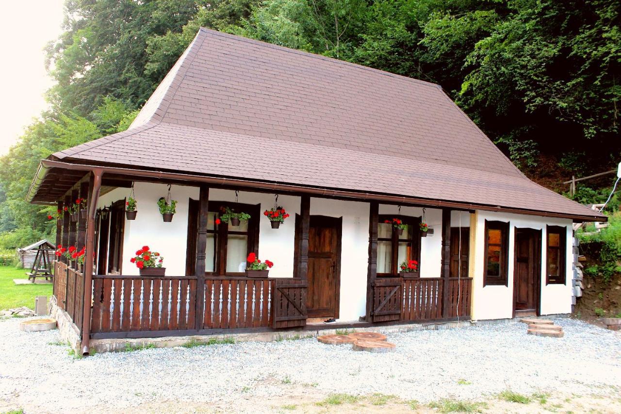 Casuta Din Valea Regilor Villa Gradistea de Munte Luaran gambar