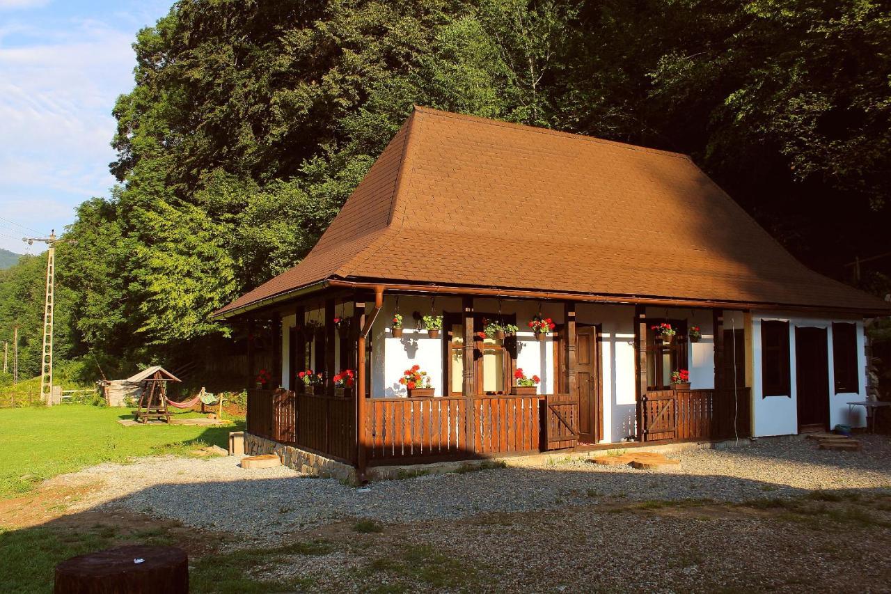 Casuta Din Valea Regilor Villa Gradistea de Munte Luaran gambar