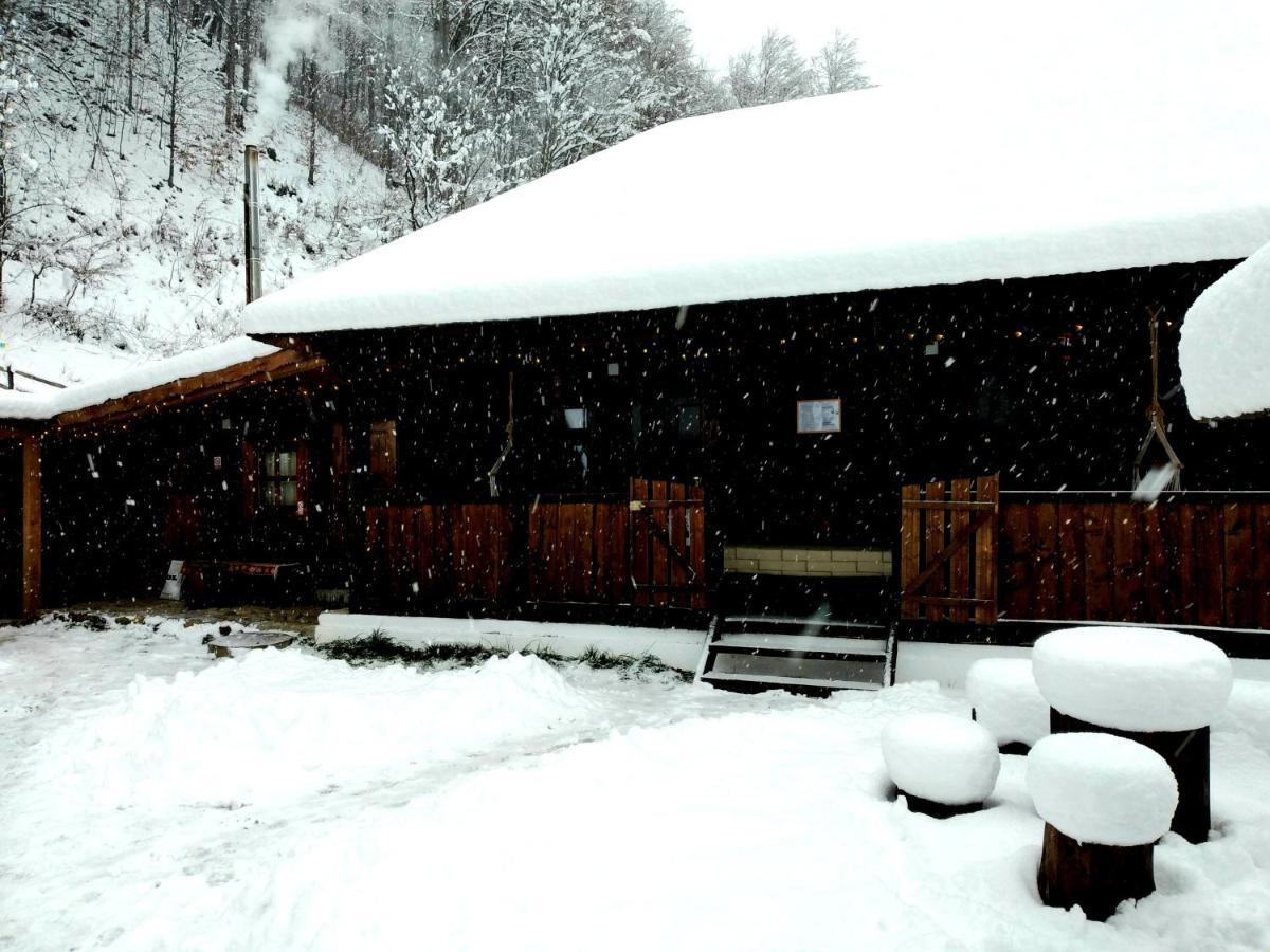 Casuta Din Valea Regilor Villa Gradistea de Munte Luaran gambar