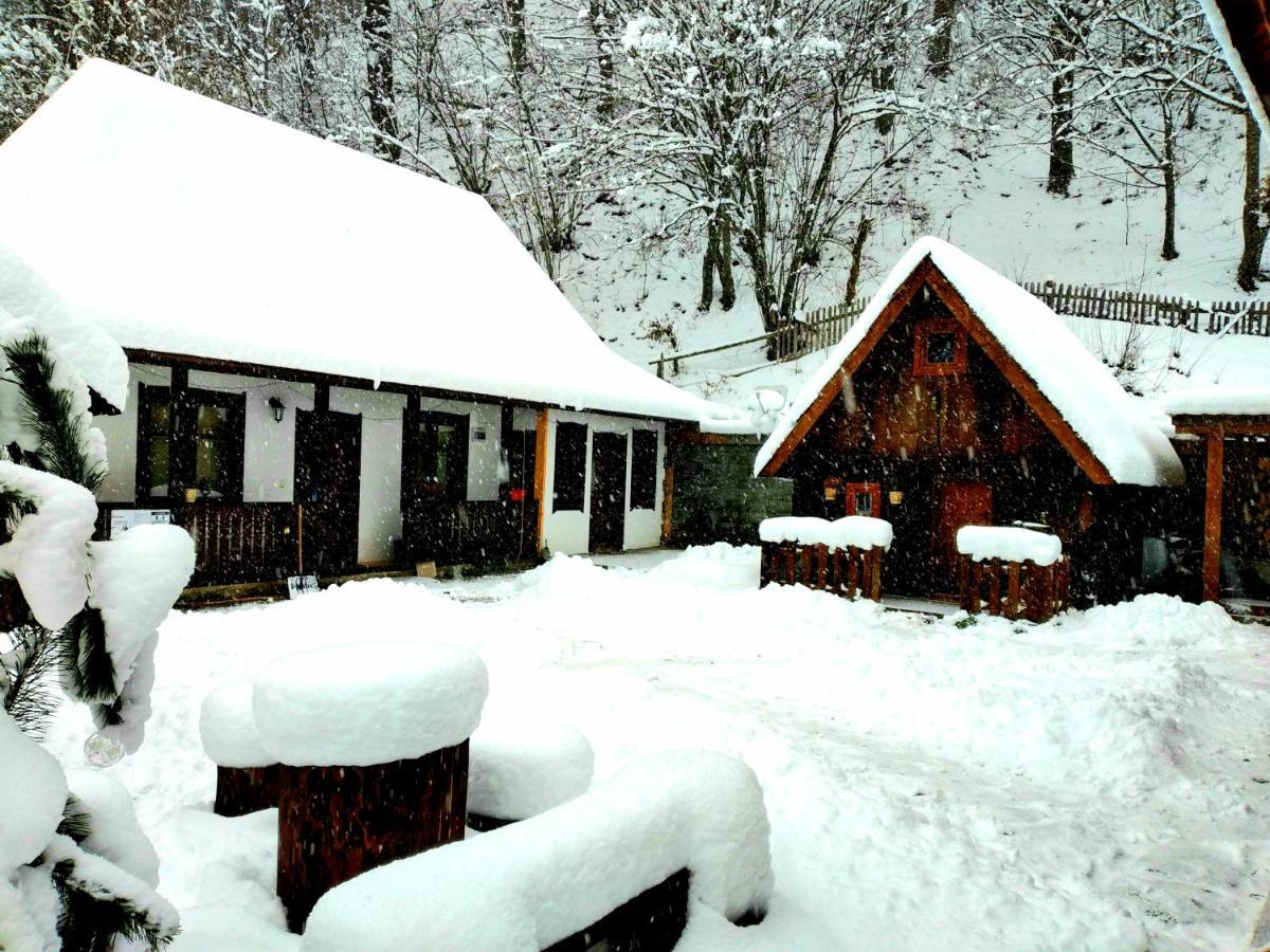 Casuta Din Valea Regilor Villa Gradistea de Munte Luaran gambar