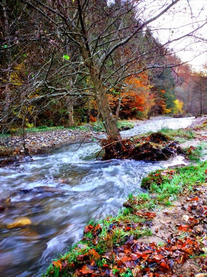 Casuta Din Valea Regilor Villa Gradistea de Munte Luaran gambar