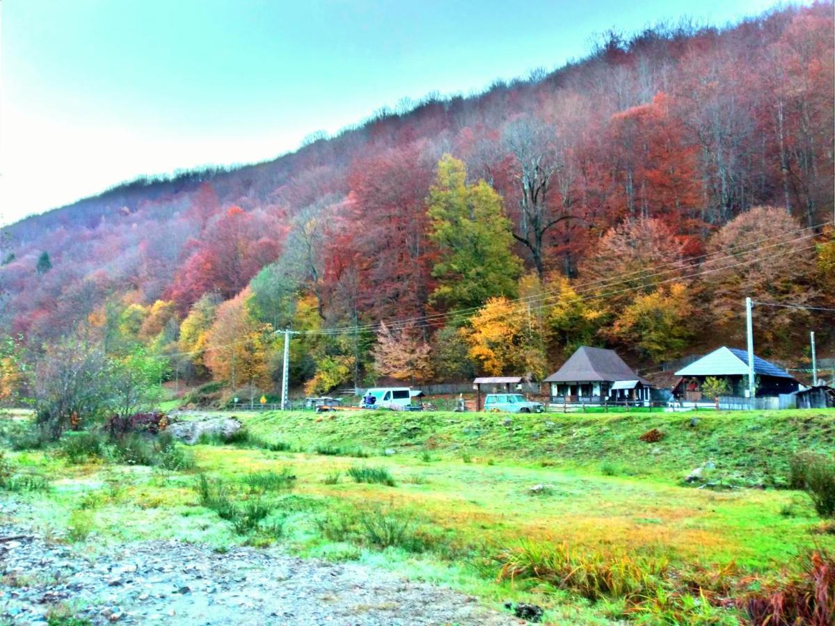 Casuta Din Valea Regilor Villa Gradistea de Munte Luaran gambar