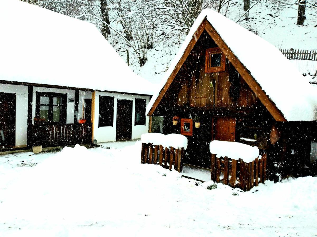 Casuta Din Valea Regilor Villa Gradistea de Munte Luaran gambar
