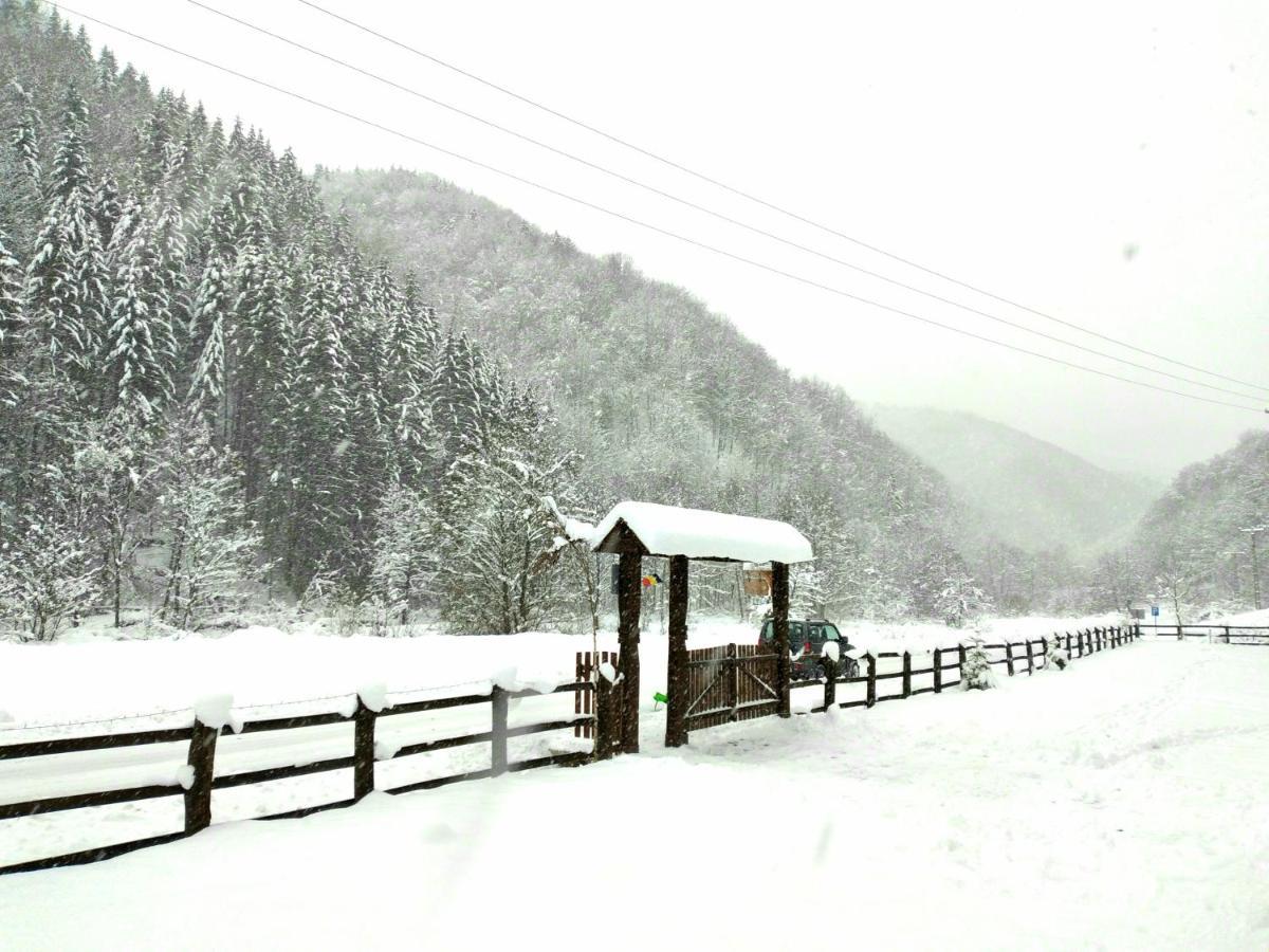Casuta Din Valea Regilor Villa Gradistea de Munte Luaran gambar