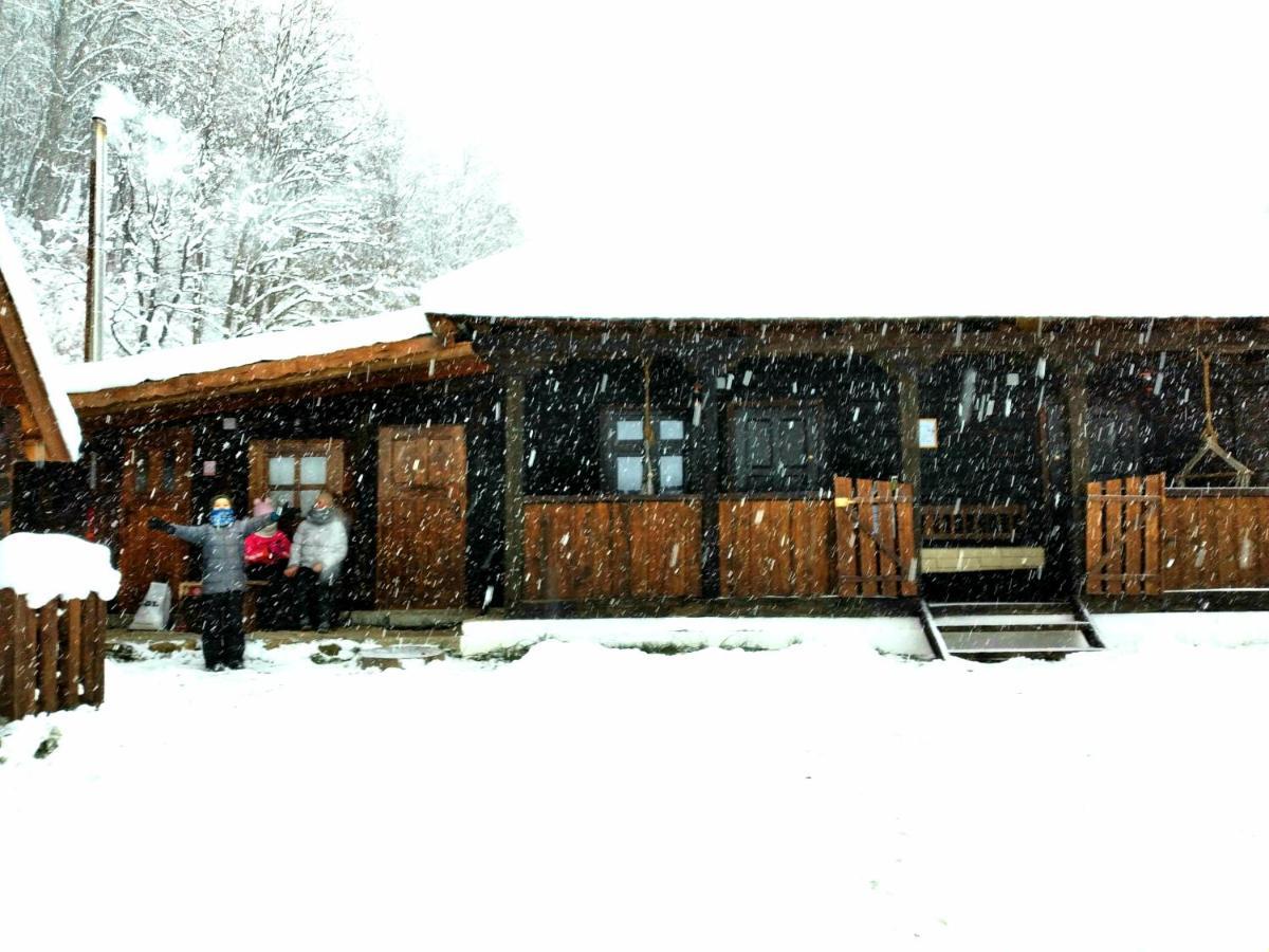 Casuta Din Valea Regilor Villa Gradistea de Munte Luaran gambar