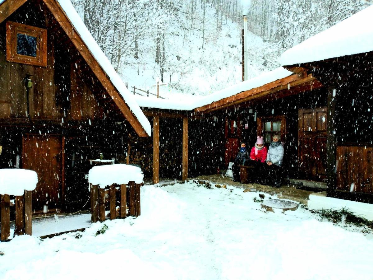 Casuta Din Valea Regilor Villa Gradistea de Munte Luaran gambar